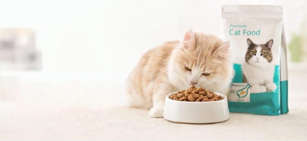 Cat Food