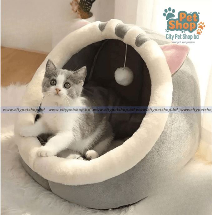 Cartoon Cat House for Pet Cat & Puppy